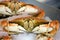 Dungeness crab