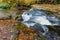 Dunloup Creek Falls With Fall Color