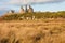 Dunstanburgh castle with tussock wetland in Northumberland