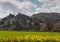 Dunster Castle Landscape, Somerset, England