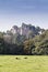 Dunster Castle in Somerset England