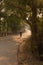 Duong Lam Vietnam 22/12/2013 person cycling away on winding sunlit road