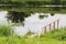 durable wooden dock on the river for fishing