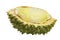 Durian Clove