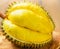 durian durian fruit thorn durian yellow durian Monthong Durian Flesh