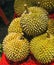 Durian is a famous sweet and tasty Asian fruit typical from Singapore Malaysia and Indonesia with curious spikes or stings and str