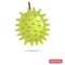 Durian fruit color flat icon