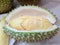 Durian is a fruit that has been referred to as the king of fruits of South East Asia
