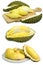 Durian fruit isolated on a white background durain king fruit of Thailand