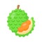 Durian fruit vector design, amazing icon design, asian fruit