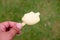 Durian ice cream bar or pop stick on hand