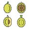 Durian icons set vector flat