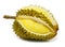 Durian isolated