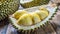 Durian the king of all fruit on wooden table cut in half on display with spiky whole fruit behind it as background. known as a