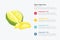 Durian king fruit infographics with some point title description for information template -