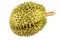 Durian is the king of fruits, Durian fruit flesh isolated on white background. Also known as king of fruits