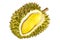 Durian is the king of fruits famous fruits in thailand, Durian fruit flesh isolated on white background. durian is distinctive for