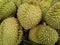 Durian King of Fruits group