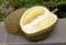 Durian The King of Tropical Fruit