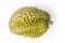 Durian monthong fruit fresh  top view on white background and clipping path. The name of science : Durio zibethenus Linn