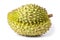 Durian monthong fruit fresh  on white background and clipping path. The name of science : Durio zibethenus Linn