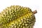 Durian monthong fruit fresh  on white background and clipping path. The name of science : Durio zibethenus Linn
