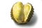 Durian monthong fruit fresh  on white background and clipping path. The name of science : Durio zibethenus Linn