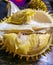 Durian, oval-shaped, large, hard-shelled lobes