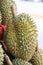 Durian sell at local farm market, King of fruits