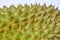 Durian spiky texture and background