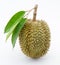 Durian Thai Fruits