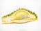 Durian, thorny fruit Is a fruit of Asia Golden yellow color of the fruit is sweet, soft and has a pungent aroma. White background