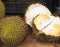 Durian (tropical fruit)