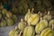 Durian tropical fruit on background for sale in the fruit market on summer