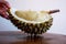 Durian is a tropical fruit distinguished by its large size and spiky, hard outer shell.