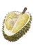 Durians cut through to see the yellow flesh. on the White Blackground