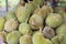 Durians fruit on street market.