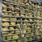 Durians in stock rack.