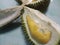 Durio zibethinus or durian fruits close-up