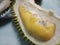 Durio zibethinus or durian fruits close-up