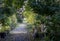 Durmar street: One of the romantic courtyards in the East of Paris, France. These bucolic, unusual and hidden spots are delightful