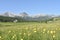 The Durmitor mountain panorama and the summer flowers