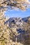 Durnstein castle during spring time in Wachau valley, Austria