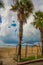 DURRES, ALBANIA: Palm tree promenade and blue sea on the beach in Durres.