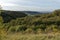 Dursley Woods and Tyndale Monument