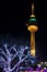 Duryu Park Tower Starry Night Illuminations night in Daegu South Korea