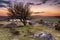 Dusk on Bodmin Moor