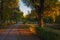 Dusk in the colorful park on sunny autumn day