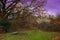 Dusk at Cranford Park, in the London Borough of Hillingdon