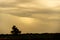 Dusk on farms in the pampa biome area of the State of RS - Brazil